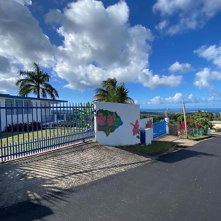 卢基约Million Dollar View In Puerto Rico别墅 外观 照片