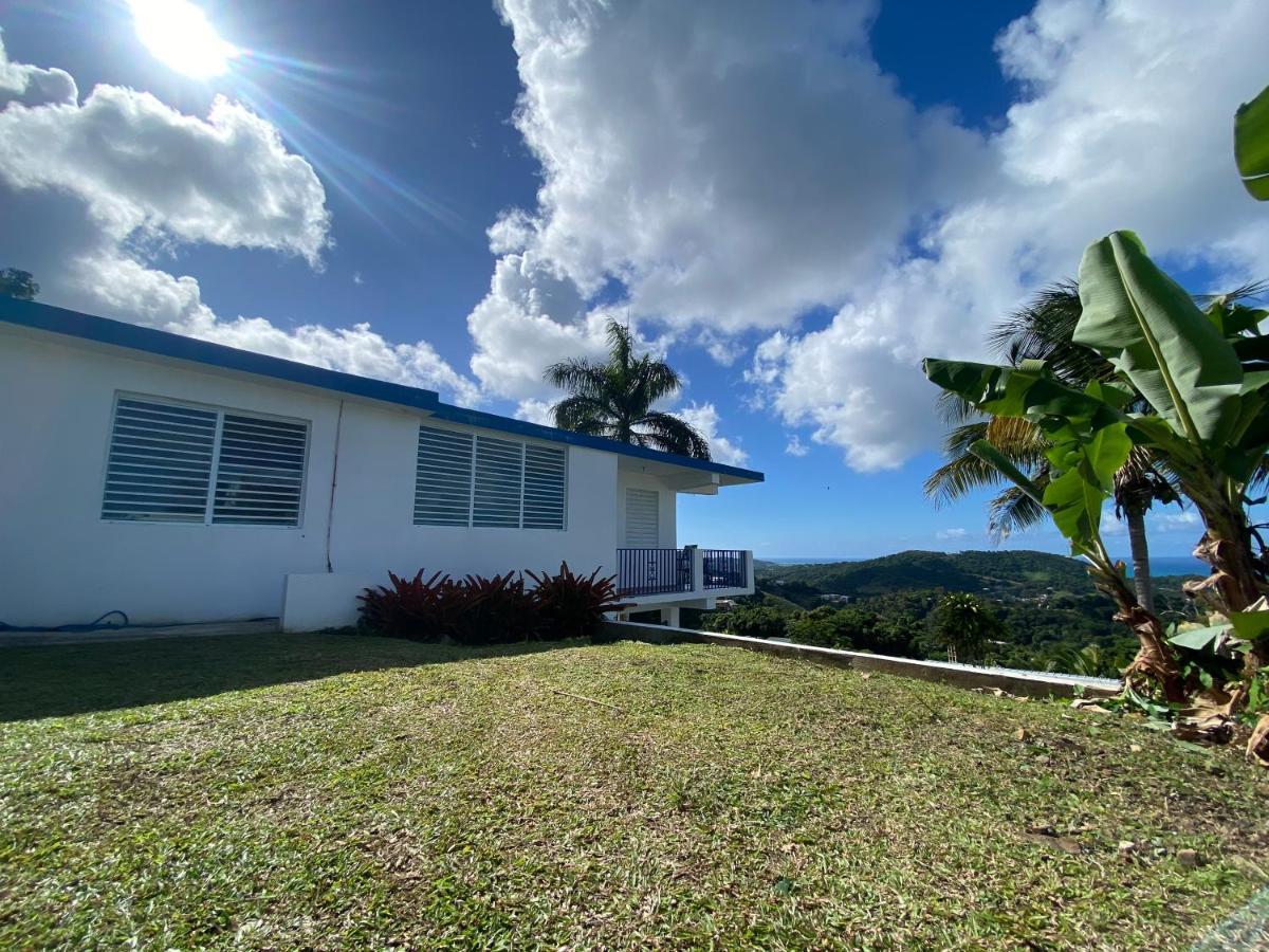 卢基约Million Dollar View In Puerto Rico别墅 外观 照片
