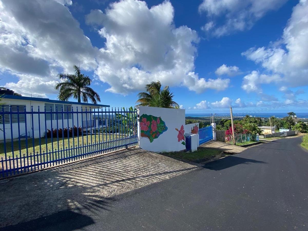卢基约Million Dollar View In Puerto Rico别墅 外观 照片