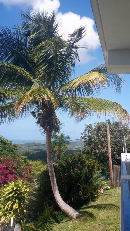 卢基约Million Dollar View In Puerto Rico别墅 外观 照片