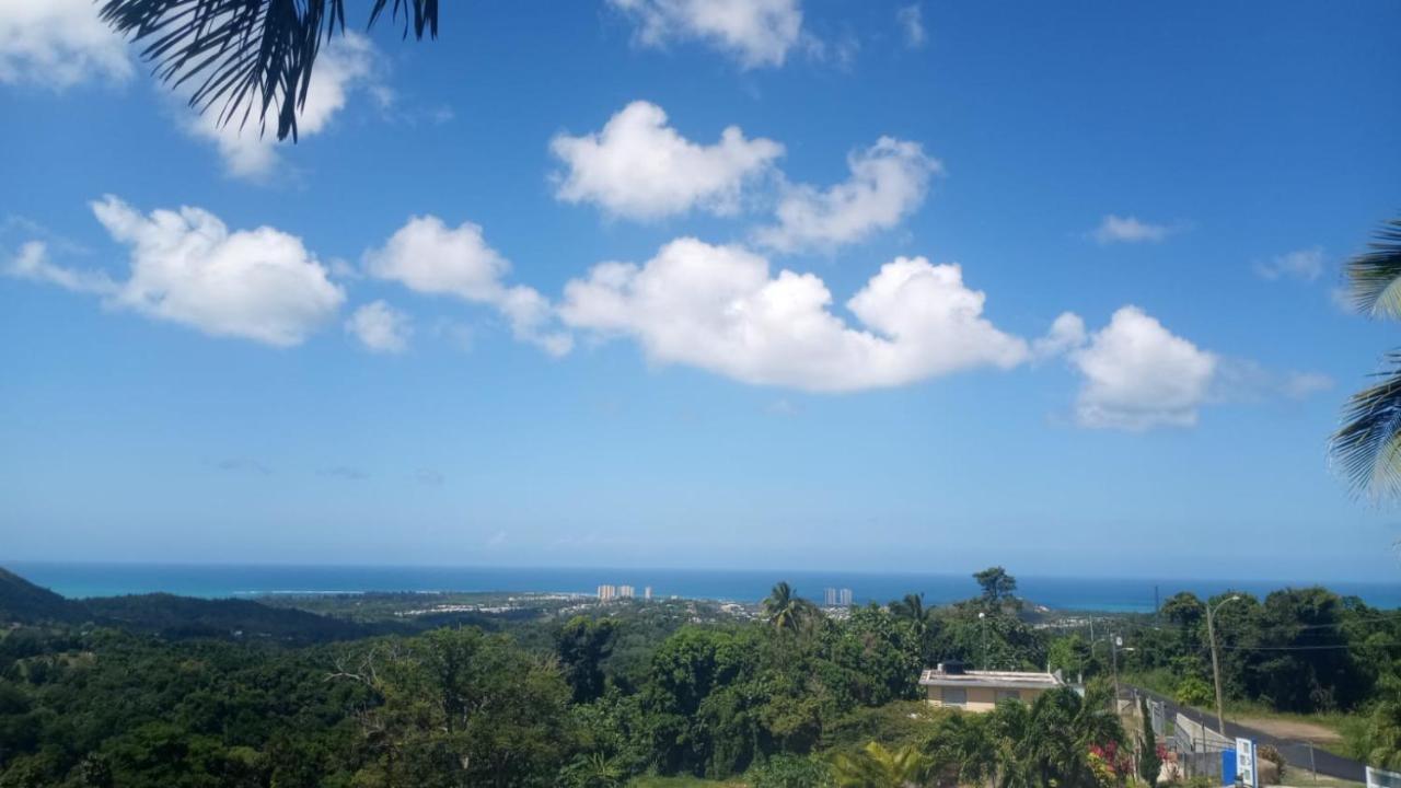 卢基约Million Dollar View In Puerto Rico别墅 外观 照片