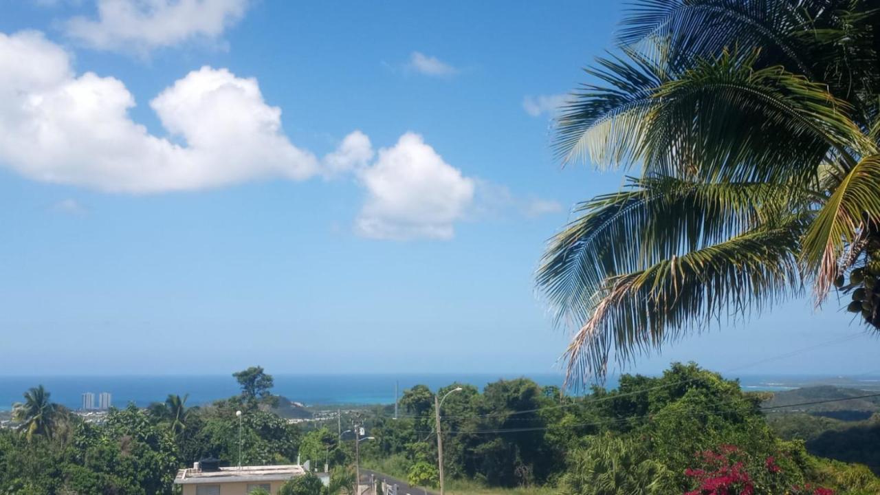 卢基约Million Dollar View In Puerto Rico别墅 外观 照片