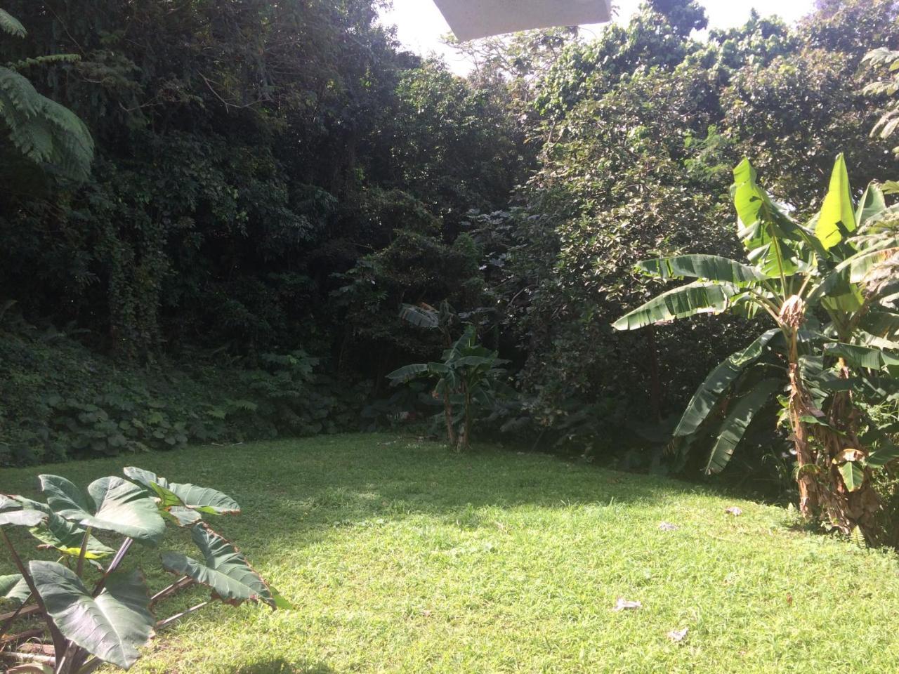 卢基约Million Dollar View In Puerto Rico别墅 外观 照片