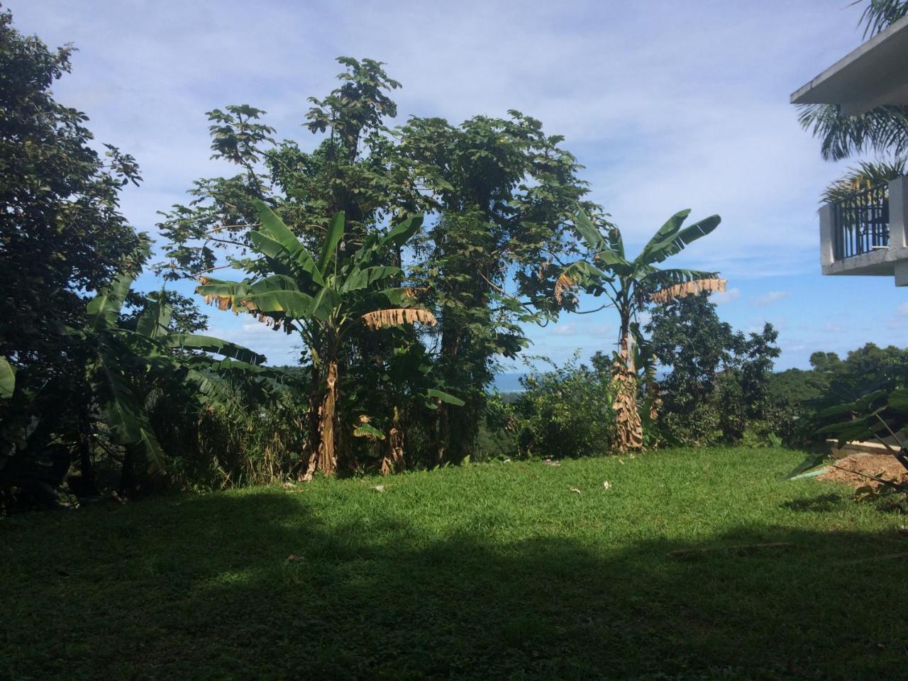 卢基约Million Dollar View In Puerto Rico别墅 外观 照片